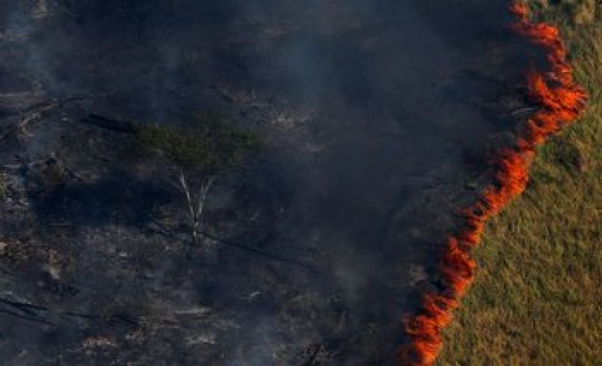 ¿Qué hay que hacer para salvar la selva amazónica?