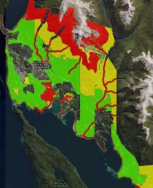 Neuquén: el negocio de los bosques