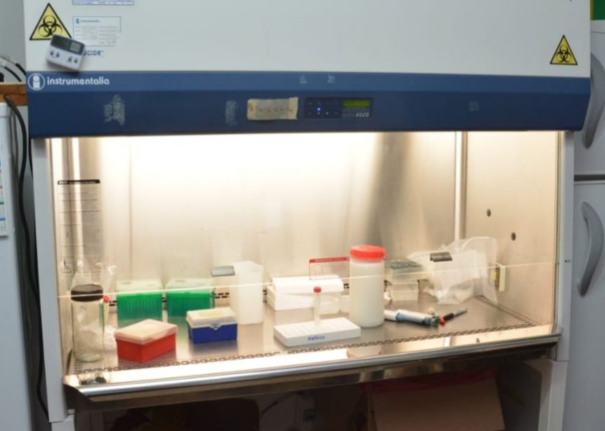 Comienzan los test de coronavirus en la Provincia: cómo son los laboratorios, todos los detalles