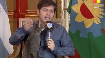 El gato de Kicillof hizo de las suyas y estallaron las redes