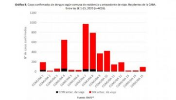 En tiempos de cuarentena, el hambre y el dengue aumentan en la Ciudad