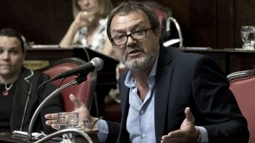 ¿Virtual o presencial?: con discrepancias, el Senado bonaerense prepara su sesión de mañana