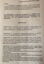 La gente salió a caminar y los perros a morder: no se podrá tener más de dos por casa