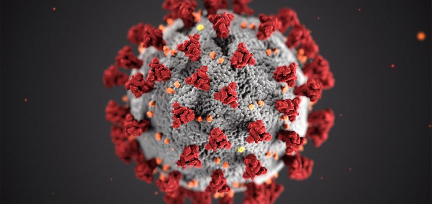Nuevo récord: Salud confirma 904 casos de coronavirus en las últimas 24 horas