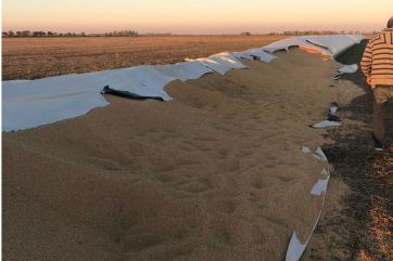 Fuego y cortes de silobolsas: el campo sabe a dónde apuntar por el vandalismo