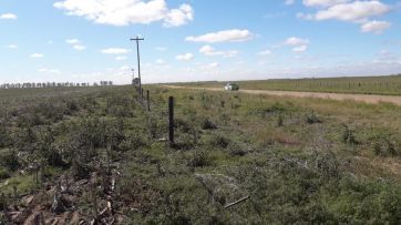 Fuego y cortes de silobolsas: el campo sabe a dónde apuntar por el vandalismo