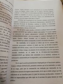 Seguros de caución: alarma por una denuncia