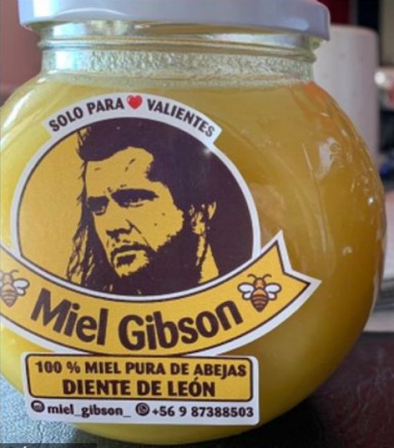 Una chilena fue demandada por crear “Miel Gibson”