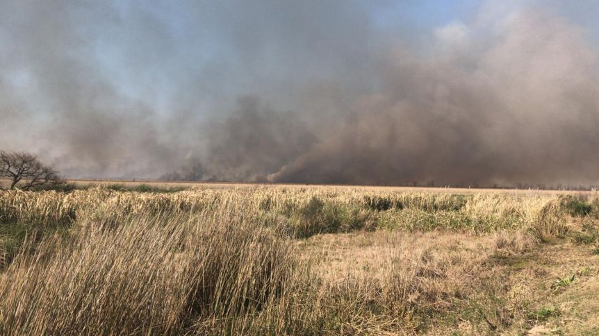 Incendios en el Delta: la municipalidad de San Fernando tiene a un productor en la mira
