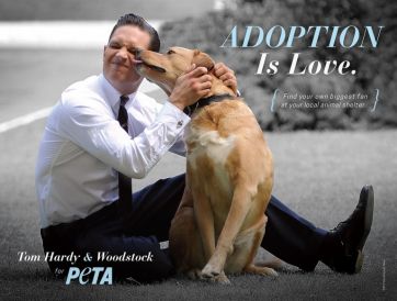 El tierno vídeo de Tom Hardy con perritos