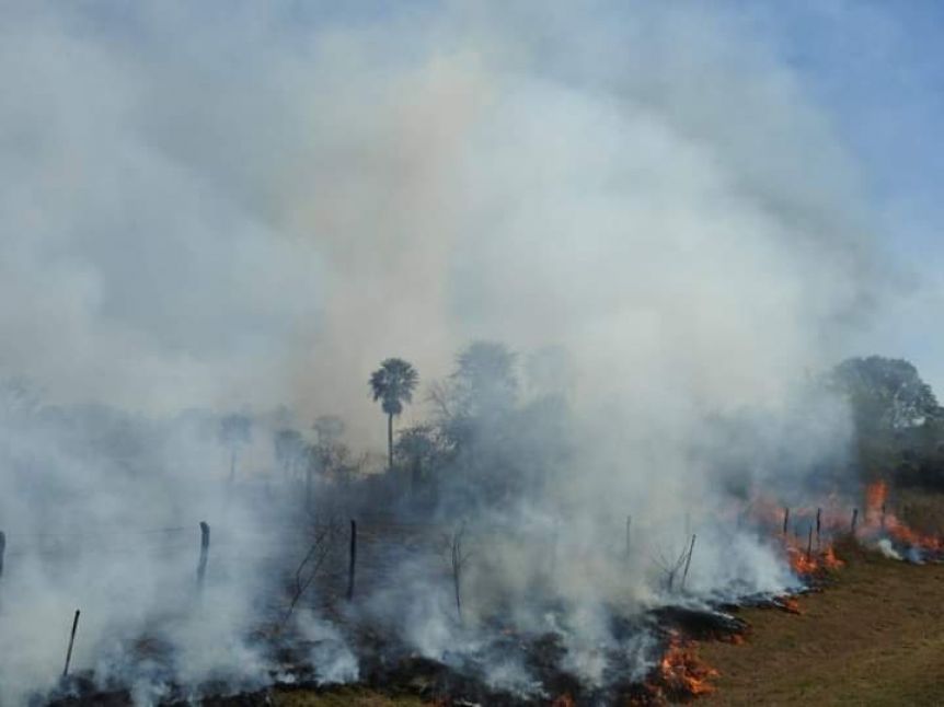 Graves pérdidas en las provincias afectadas por los incendios