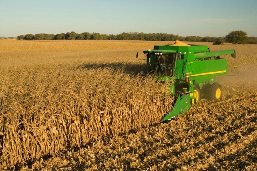 Tras el cierre de exportaciones de maíz, el campo se declara en alerta y movilización