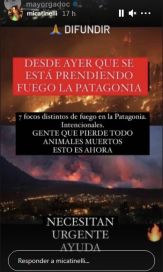 Famosos se sumaron a las campañas solidarias para la Patagonia