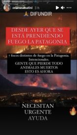 Famosos se sumaron a las campañas solidarias para la Patagonia