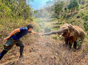 Conmovedor: Elefante reconoce al veterinario que lo curó hace 12 años