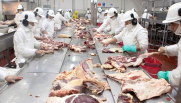 Carne ¿qué pretende usted de mí?