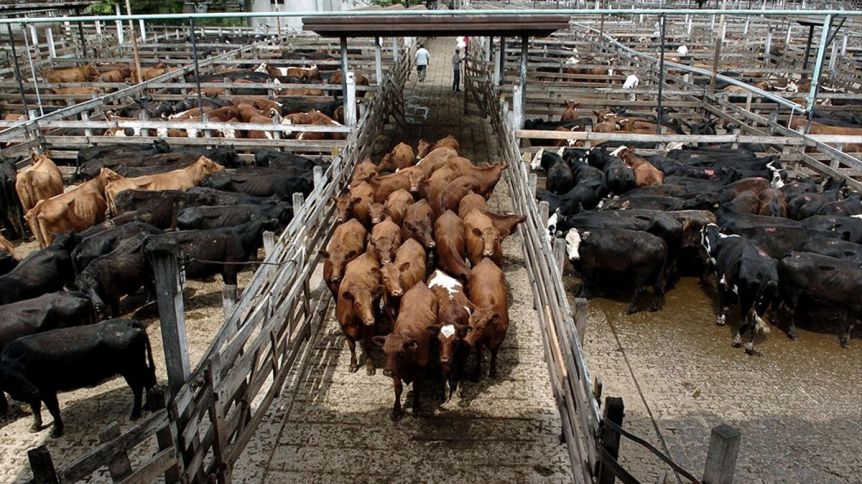 Cómo sigue el conflicto del Gobierno con el agro y la exportación de carne