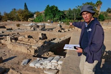 Israel: descubren un sitio de producción de vinos de 1500 años