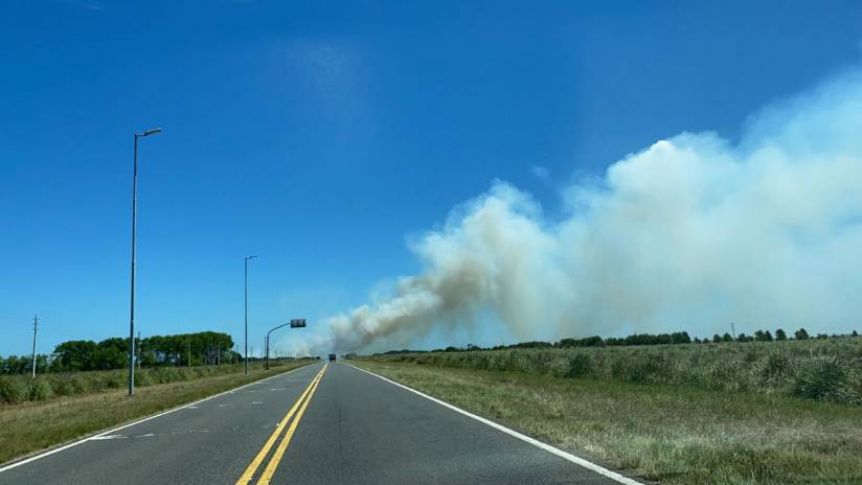 Se desató un impresionante incendio forestal en la localidad de Mar Azul