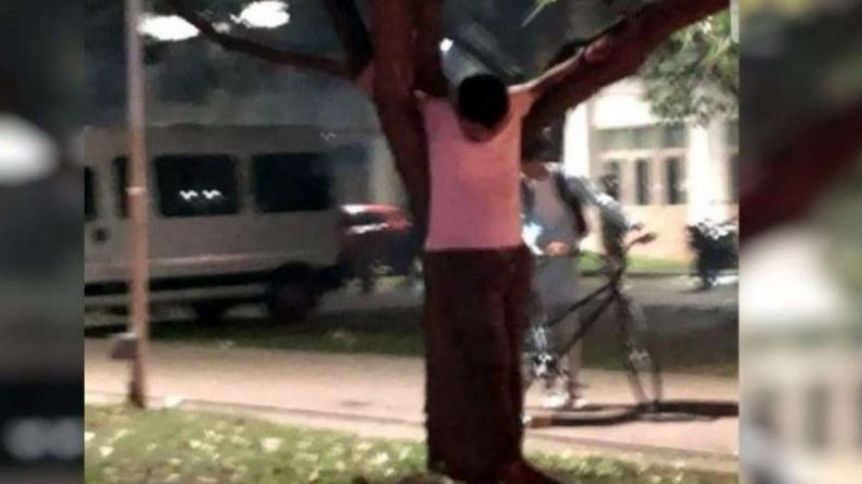 Horror: drogaron y dejaron “crucificado” en un árbol a un joven tras una fiesta