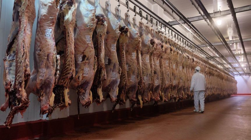 Polémica por la prohibición de exportación de carne: el agro advierte sobre el impacto
