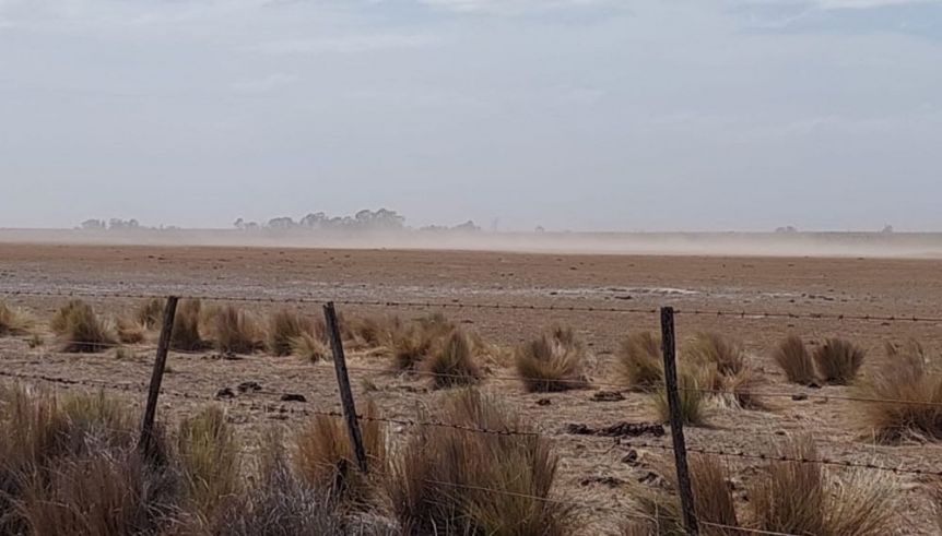 A qué municipio alcanza la Emergencia y Desastre Agropecuario