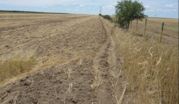 Pronóstico complicado para el campo