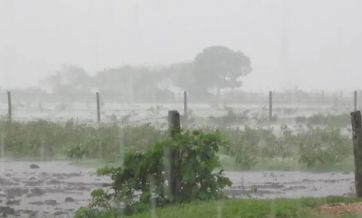 Pronóstico complicado para el campo