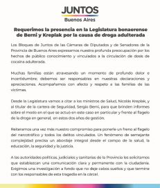 Juntos pide la presencia de Berni y Kreplak en la Legislatura