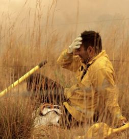 Tragedia en Corrientes: los incendios consumieron 600 mil hectáreas y hay 15 focos activos