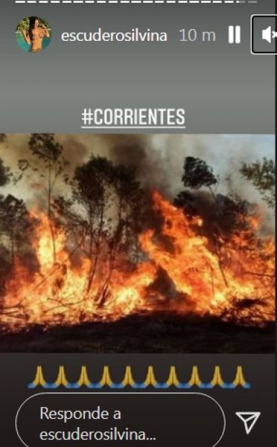 Tragedia en Corrientes: los incendios consumieron 600 mil hectáreas y hay 15 focos activos