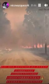 Tragedia en Corrientes: los incendios consumieron 600 mil hectáreas y hay 15 focos activos