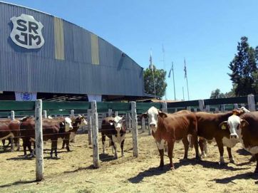 Desde el Gobierno salieron al cruce de la Sociedad Rural  tras el planteo judicial por la retenciones