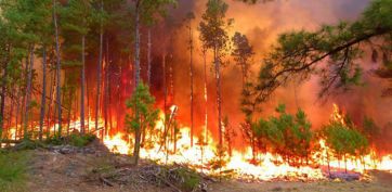 El fuego que quema al gobierno nacional