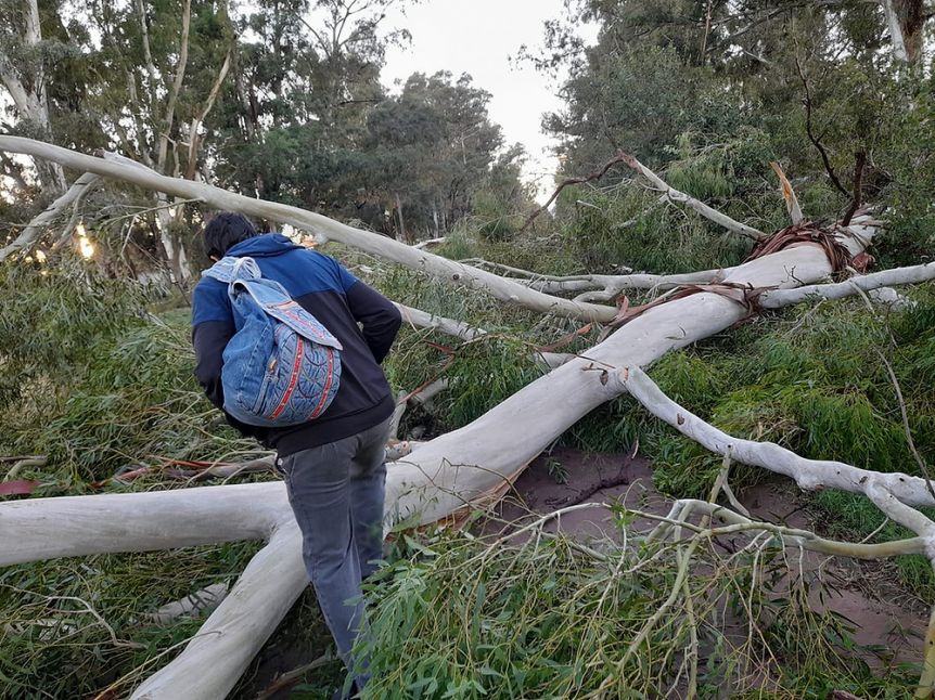 Más de 20 localidades afectadas por fuerte temporal