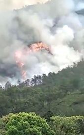 Se estrelló un avión con más de 130 personas a bordo en el sur de China