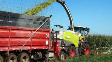 Conflicto en puerta: Preocupación e incertidumbre en el agro por el faltante de gasoil para cosechar