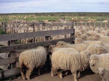 Hidrógeno verde: el campo chubutense en alerta