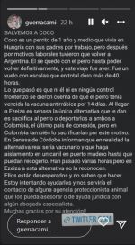 Piden por la liberación de un perro que fue demorado en Ezeiza por falta de una vacuna