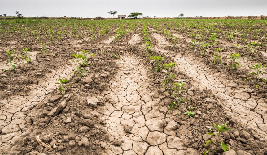 Un distrito de la Tercera sección fue declarado en estado de emergencia agropecuaria