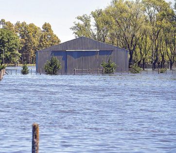 Una bomba a punto de estallar: el campo en emergencia