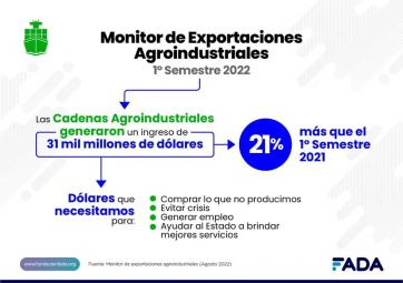 ¿Miente el gobierno o miente el campo?: un informe revela que no faltan dólares