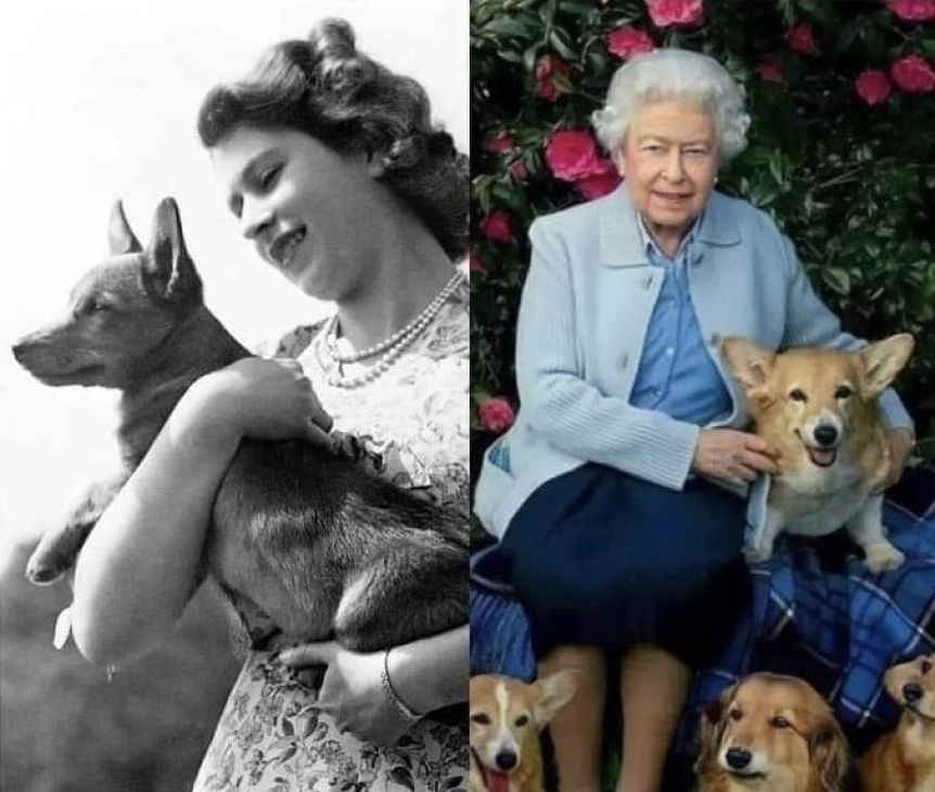 La historia de los 30 perros que acompañaron a la reina Isabel II