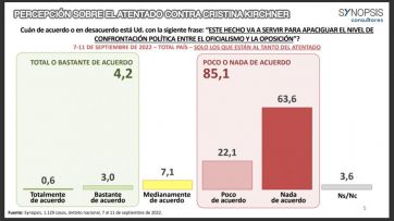 Atentado contra Cristina Kirchner: para el 85% no va a calmar la grieta política 