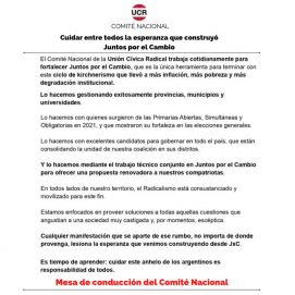 Arde la UCR: desde Provincia bancan a Manes; el Comité Nacional le soltó la mano