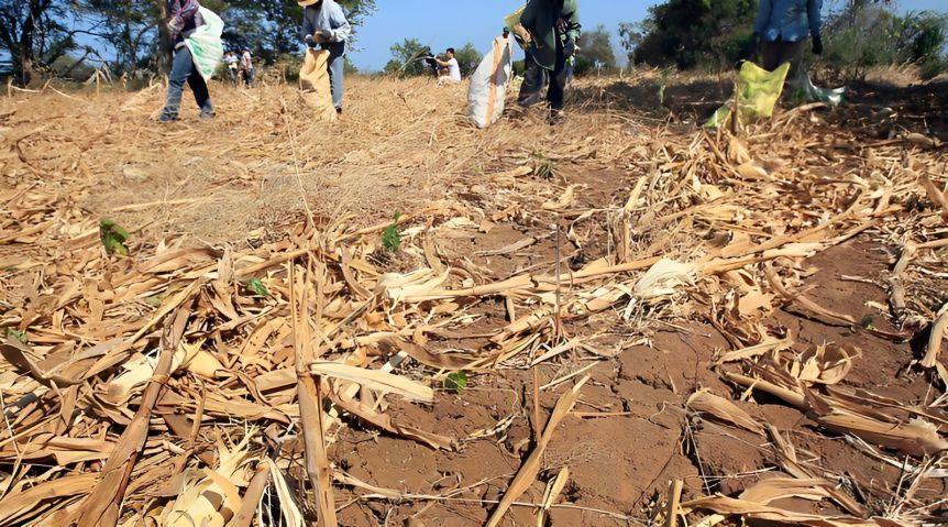 La sequía no da tregua: declararán emergencia agropecuaria en 13 municipios