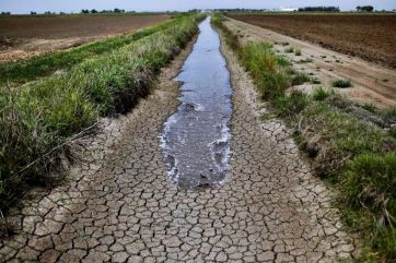 La sequía no da tregua: declararán emergencia agropecuaria en 13 municipios