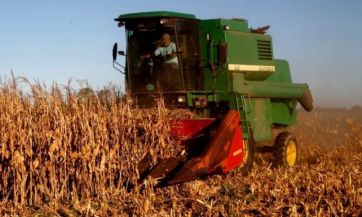 La sequía no afloja y desde la Federación Agraria piden la extensión de la emergencia agropecuaria