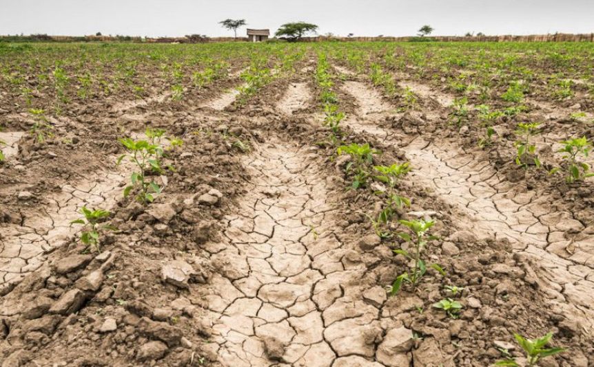Municipio radical y productores acordaron decretar la Emergencia Agropecuaria