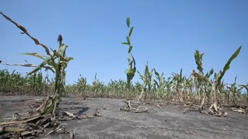 La sequía no afloja y la Provincia prorrogó la emergencia agropecuaria en Magdalena